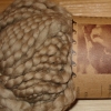 Chinchilla Kusikuy Organic Cotton Yarn (Hand Spun Chunky)