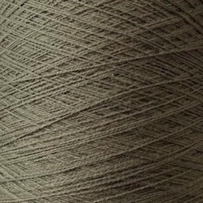 Ecobutterfly Ecology Strings: Organic Cotton Yarn (Color: Iguana)