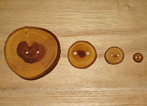 3/8"  Fallen Weeping Elm Wood Button (NEW)