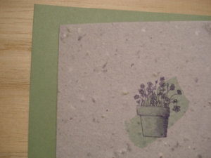 Grow-A-Note Green Pot with Purple Flowers Card
