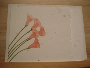 Grow-A-Note Pink Calla Lillies Card