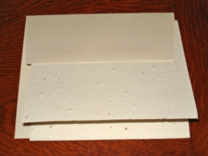 10 Pack Grow-A-Note Blank White Cards With Hemp Envelopes