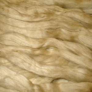 Rustic Sage Avocado Pakucho Organic Cotton Sliver
