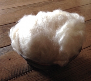 The Monarch Butterfly & the Bee Sustainable Stuffing (Organic Kapok, Milkweed & Pima)