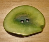 1 1/2" x 1 1/8" Spring Corozo Slice Button